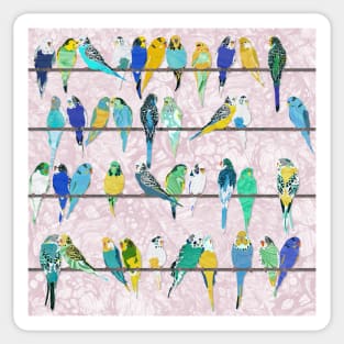 Get your Budgies in a Row Paper Cut Out Sticker